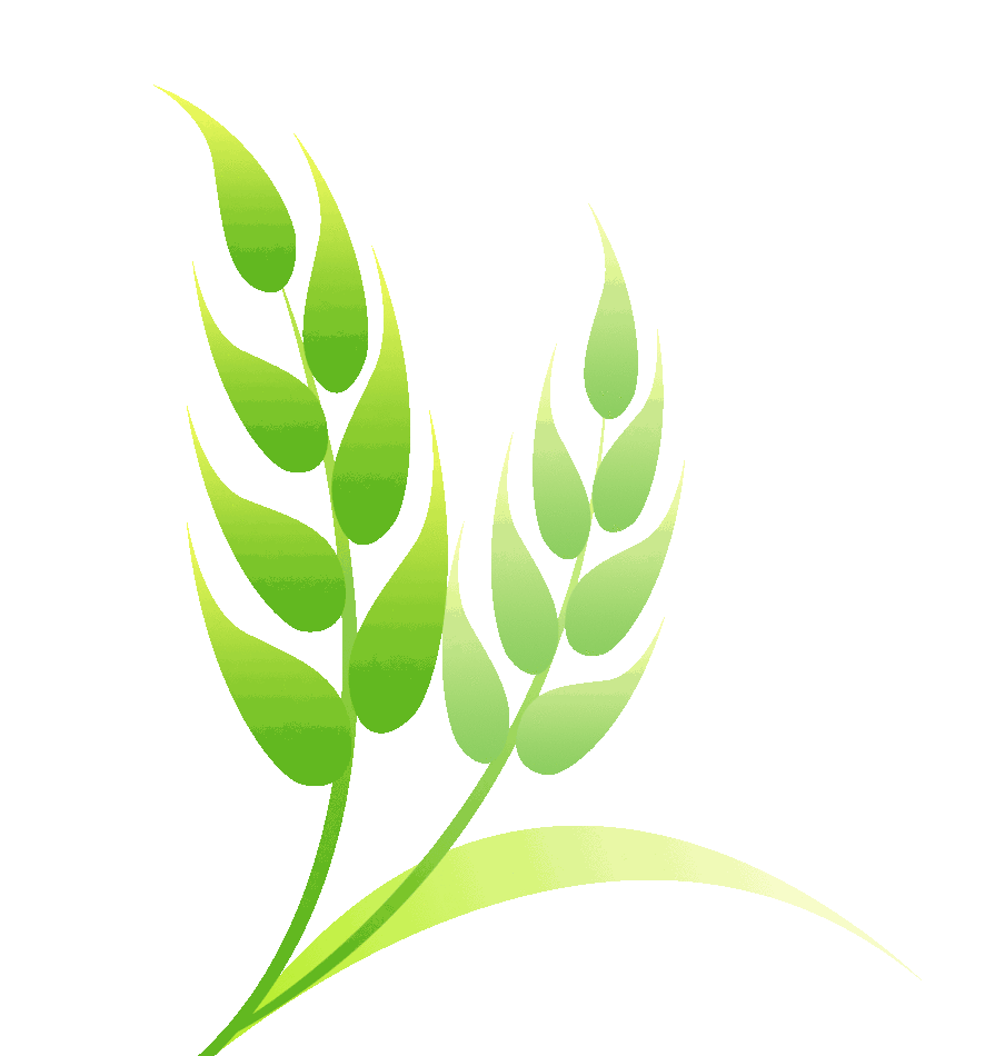 大理州中考| 2025大理州中考分数线全解析!多少分能上什么高中?多少分能上心仪高中?2026报考必看! 第11张