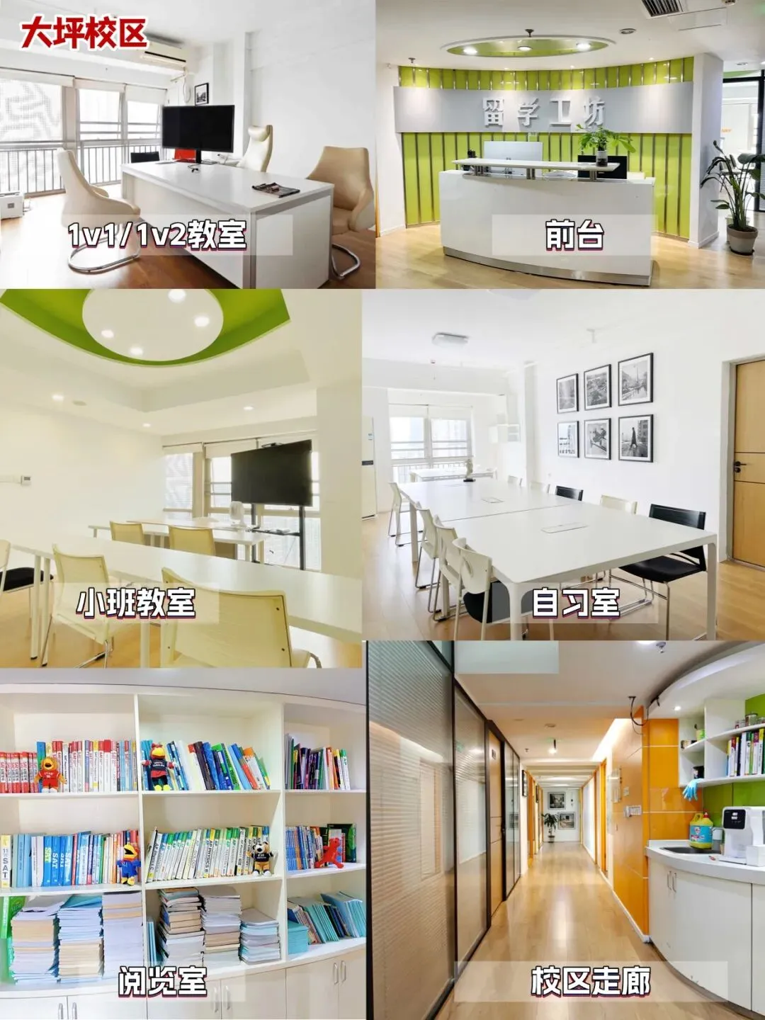 2026年3月14日托福真题及答案解析,含完整版电子档 第40张