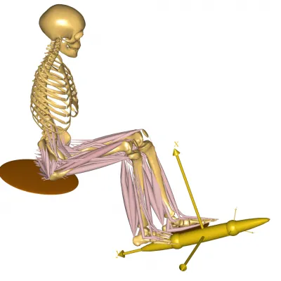 最新!东北林业大学理论真题解析来啦~快来对答案! 第9张