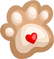 一模真题-山东省济南市2024-2025学年九年级全区一模数学真题 第1张