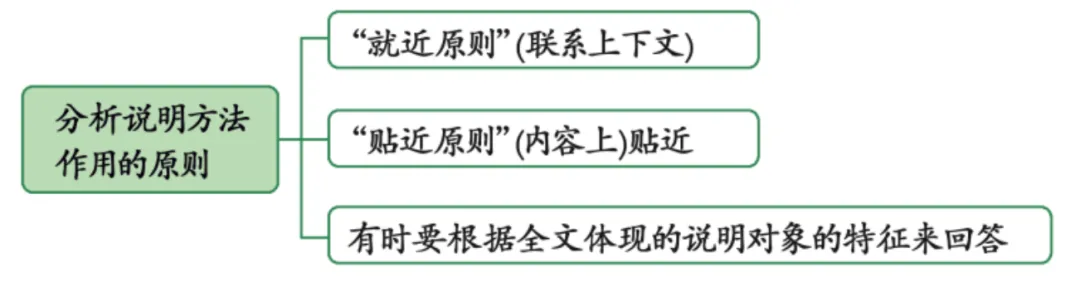 中考语文复习错题集——易错点11说明文阅读之说明方法 第1张