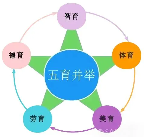 当“生物地理不再计入中考总分”:中考改革“破立之间”的育人新局 第4张