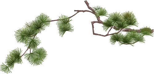 城南·悦教研 | 精研中考,高效提质——天心区中学数学中考一轮复习教学研讨会在我校圆满举行 第4张