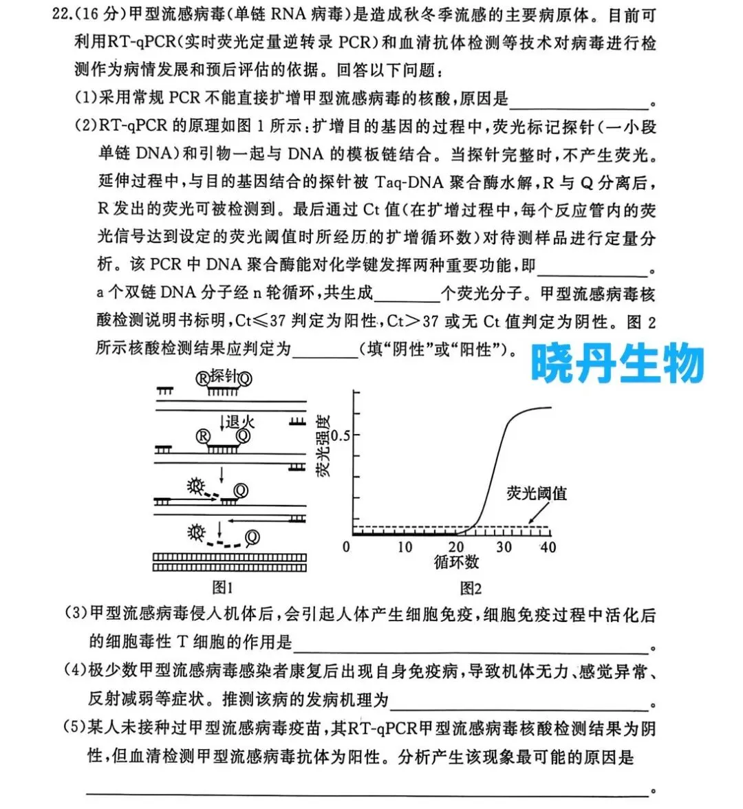 2026年3月湖北省黄冈市高三下学期模拟考试 第1张