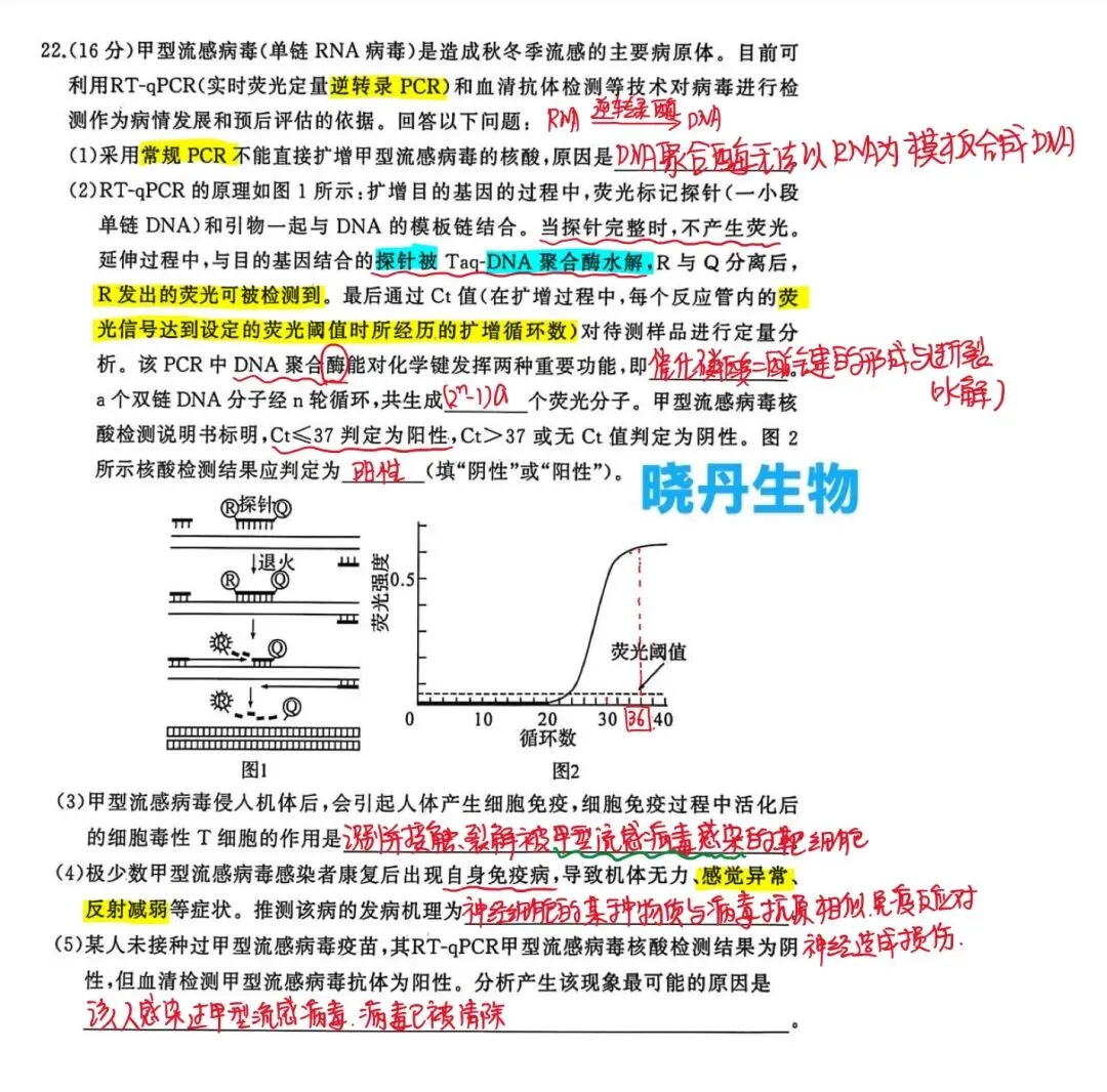 2026年3月湖北省黄冈市高三下学期模拟考试 第2张