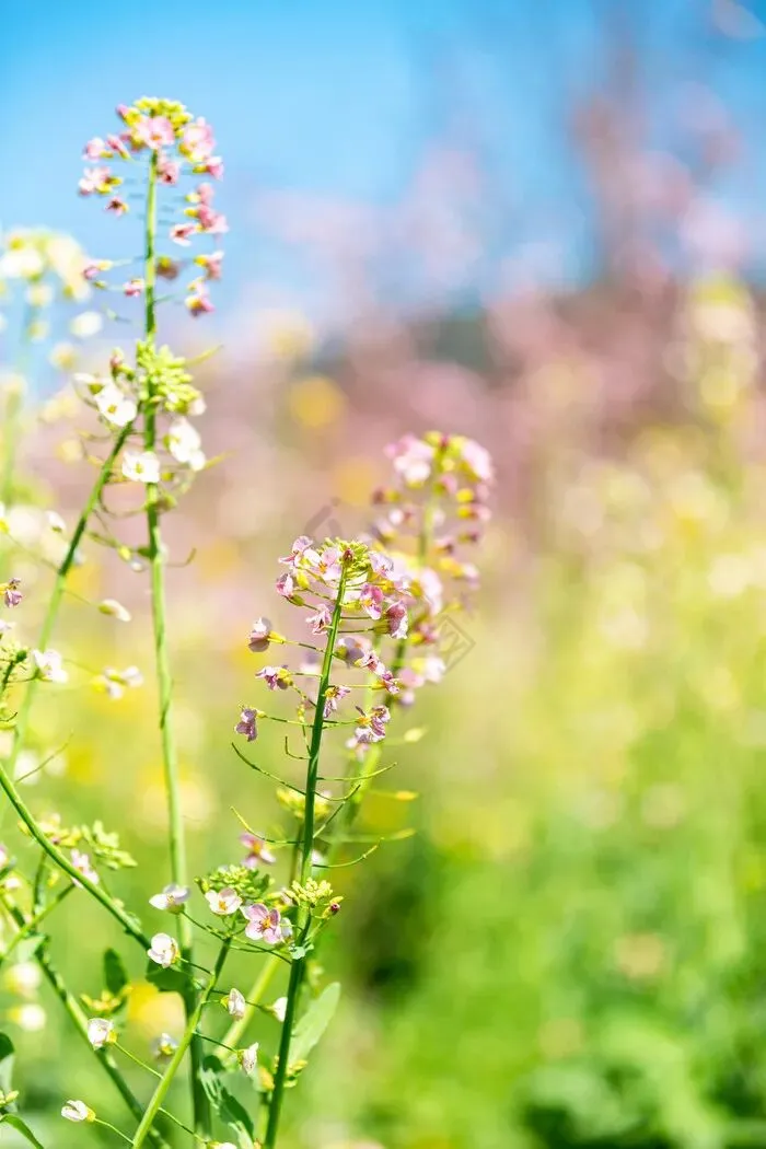 2026年中考化学一轮复习专题二化学与技术 第24张