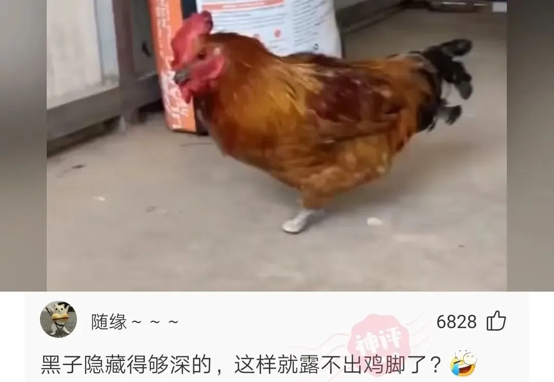 神评:暑假了,给山区的小朋友送暑假复习试卷~~ 第4张