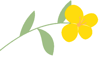 新课标·新教材·新考法——中考英语“品-评-命”三位一体实战营 第6张