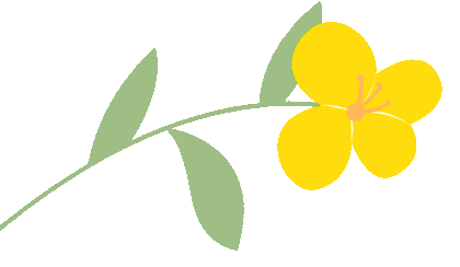 新课标·新教材·新考法——中考英语“品-评-命”三位一体实战营 第35张