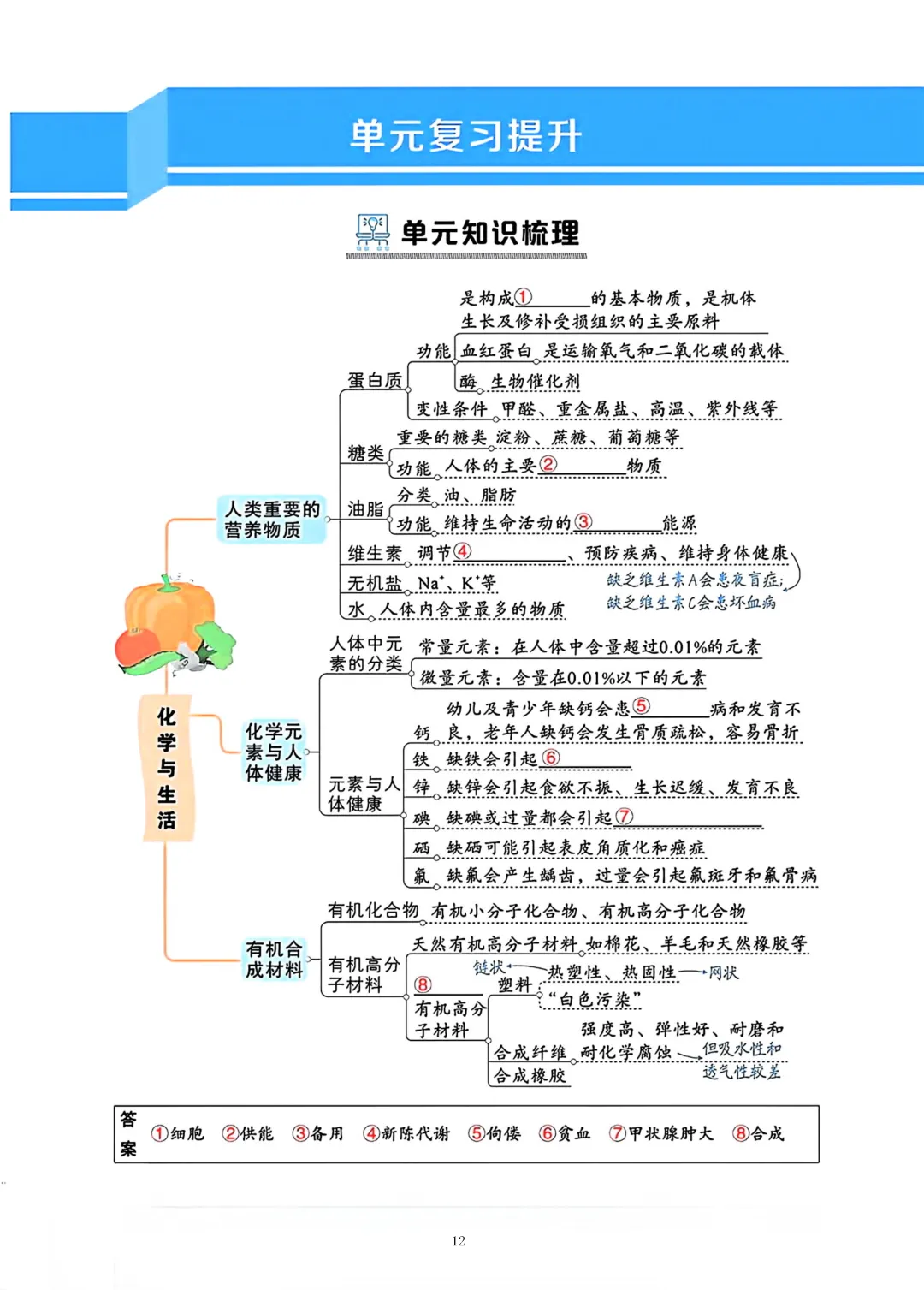 上海中考化学知识梳理 第12张