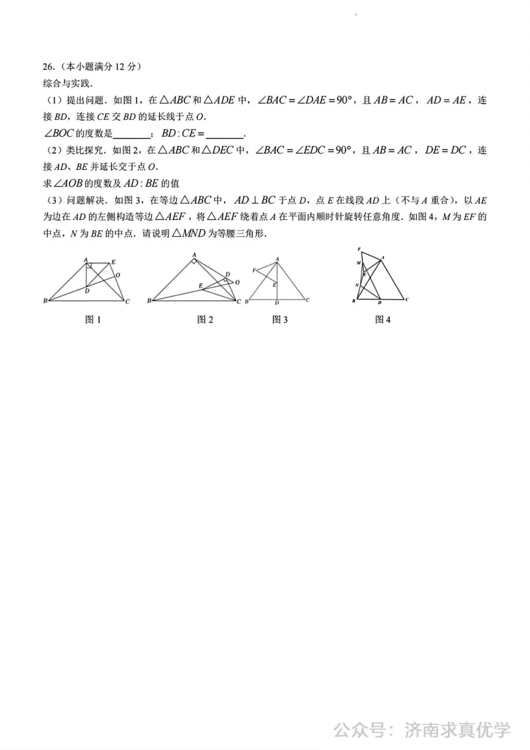 【模拟】2024年平阴县中考第一次模拟考试数学试卷 第9张