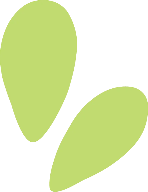 现场情况回顾!2025上海中考体育满分经验贴! 第50张