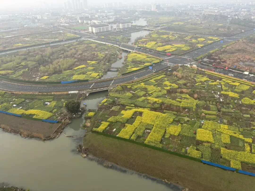 女儿中考倒计时91天—春天花会开,鸟儿自由自在 第1张