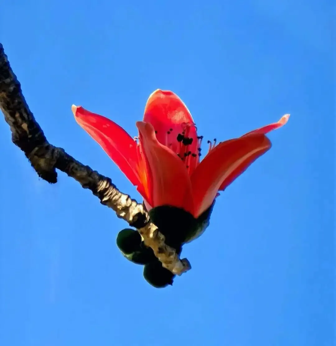 中考作文预测:记忆深处情最真 第2张