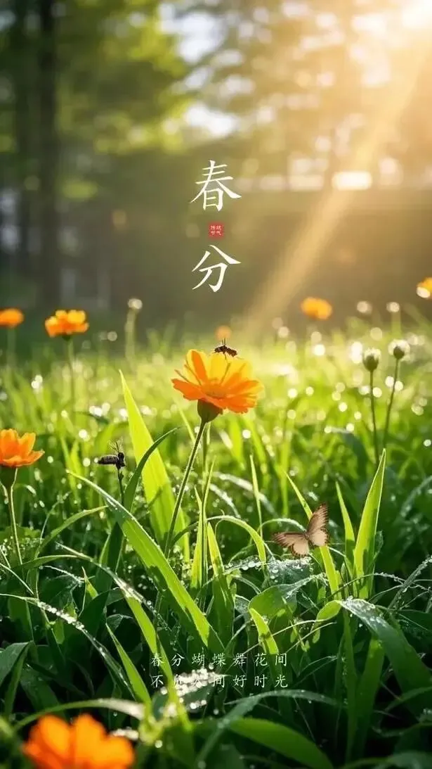 二十四节气之春分:从原理到真题,一文搞定所有考点! 第1张