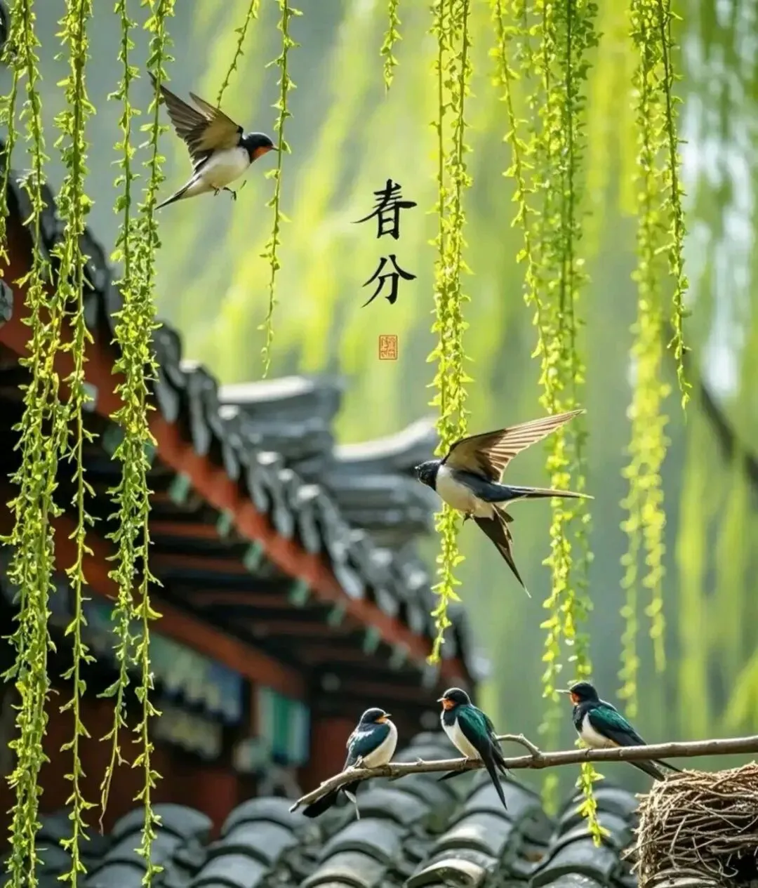 二十四节气之春分:从原理到真题,一文搞定所有考点! 第2张