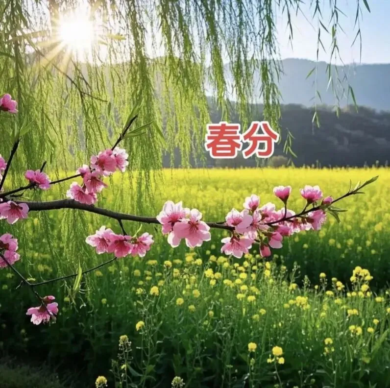 二十四节气之春分:从原理到真题,一文搞定所有考点! 第3张