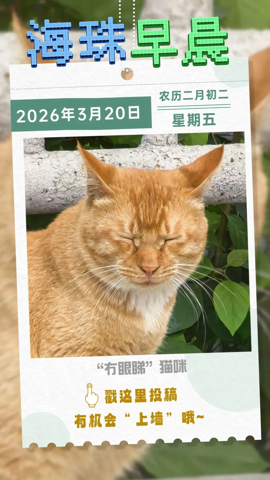 多地宣布:生物地理不再计入中考总分 | 海珠早晨 第3张