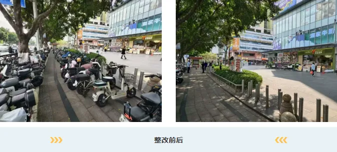 多地宣布:生物地理不再计入中考总分 | 海珠早晨 第12张