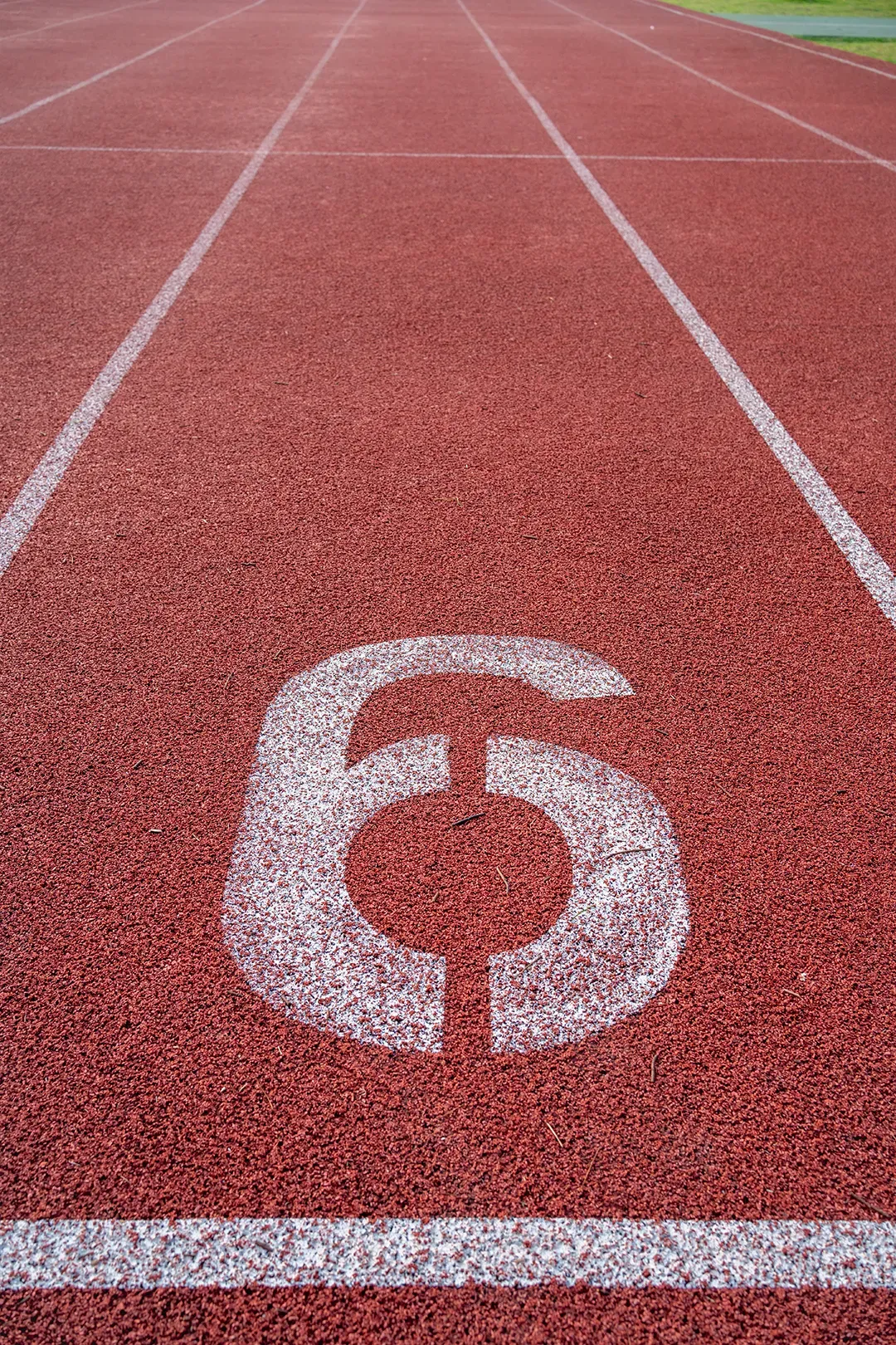 最新!2026年上海各区中考体育时间曝光!当二模＂偶遇＂体育!还有这些坑要避开…… 第18张