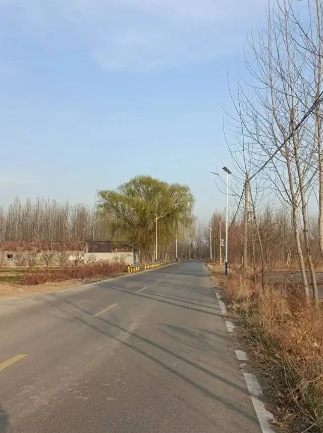 2026年3月14日山东省公务员面试真题:有老同志用“甘草”比喻做人做事、工作处事的态度与智慧.谈谈你对甘草精神的理解? 第3张