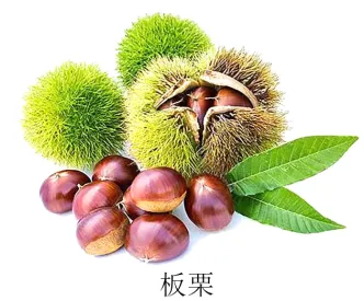 中考专训11:等高线地形图(02) 第14张