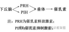 2026年东三省高三第一次联合模拟考试生物学试题和答案 ⊙ 第7张