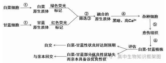 2026年东三省高三第一次联合模拟考试生物学试题和答案 ⊙ 第8张