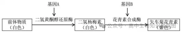 2026年东三省高三第一次联合模拟考试生物学试题和答案 ⊙ 第10张