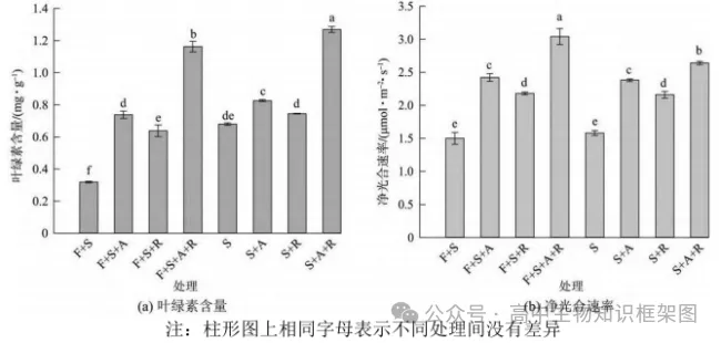 2026年东三省高三第一次联合模拟考试生物学试题和答案 ⊙ 第11张