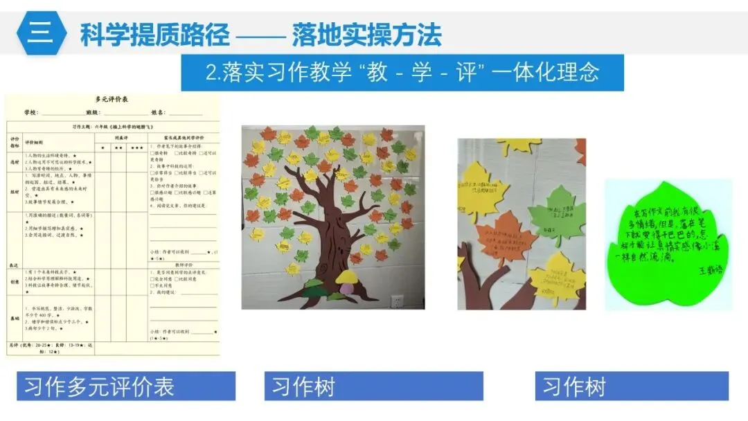 【教研赋能 命题精进】三下试卷命题分析 第14张