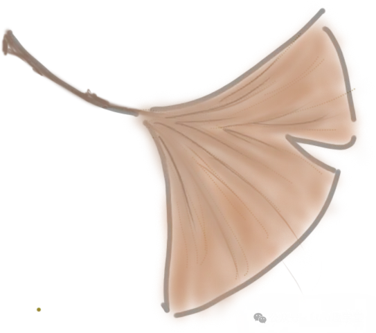 2026初中英语语法系统讲解,含真题训练+答案,可下载打印 第2张