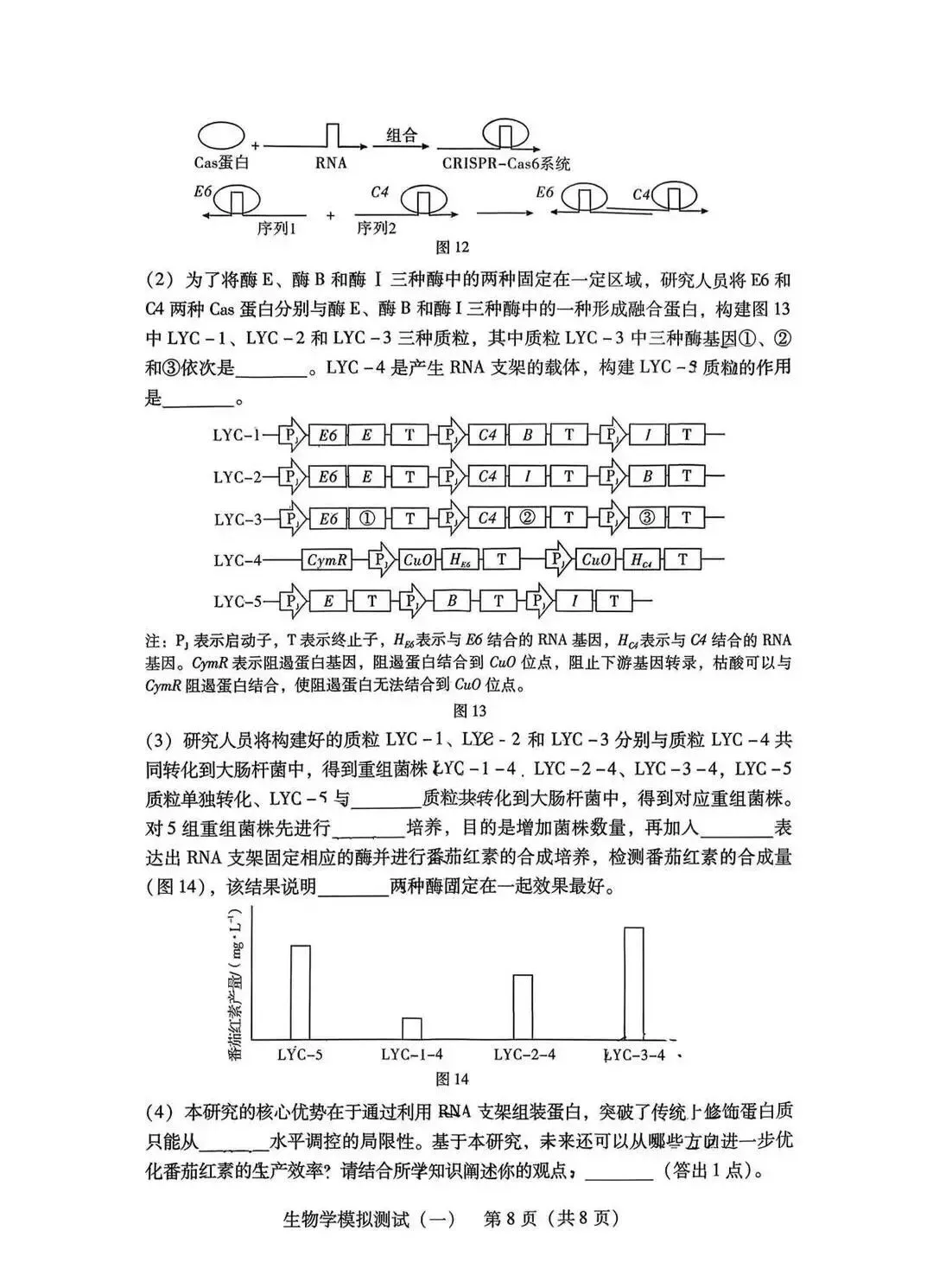 2026年3月广东高三一模生物学试卷和参考答案 第8张