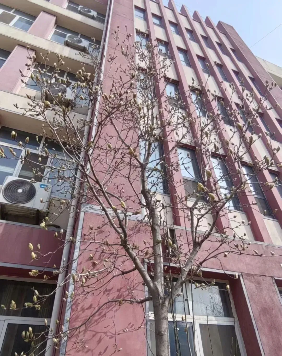 助力学子中考,再探素养目标与命题原则 第2张