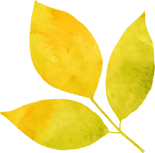 中考必背化学方程式,完整电子版可打印 第9张