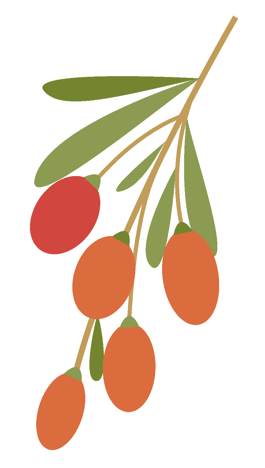 免费分享·2026年中考数学常考考点专题之函数基础知识及答案解析、考点卡片 第1张