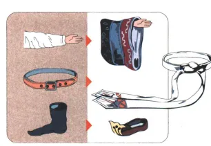 2026年中考历史热点冲刺押题专练(62份) 第8张