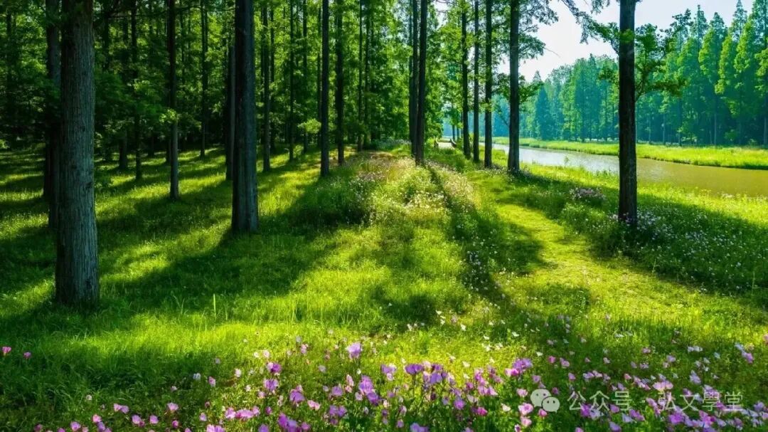 中考病句修改常见类型(含例句及辅助记忆法) 第3张