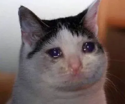 剑桥真题精讲怎么用?超全,《剑4-剑19解析》剑桥雅思真题解析合集 第2张