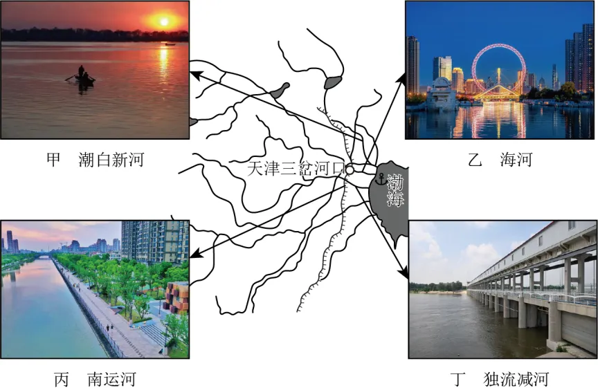 高考真题分类汇编(2023-2025)|专题14 资源、环境与国家安全 第5张