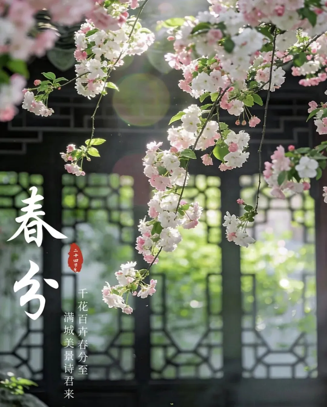 中考阅读理解题小练:二十四节气之春分 第1张