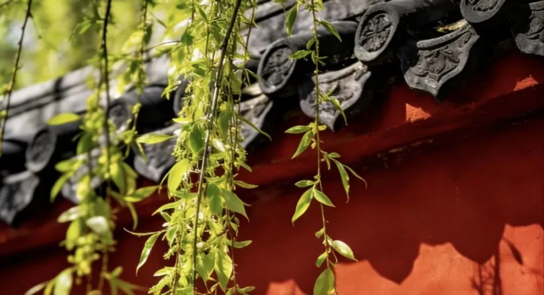 中考阅读理解题小练:二十四节气之春分 第2张