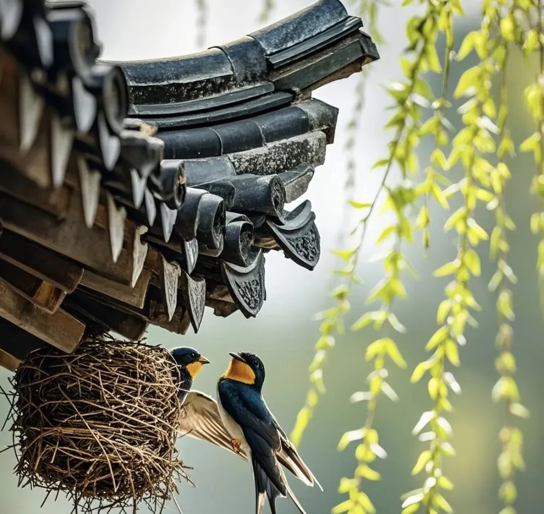 中考阅读理解题小练:二十四节气之春分 第3张