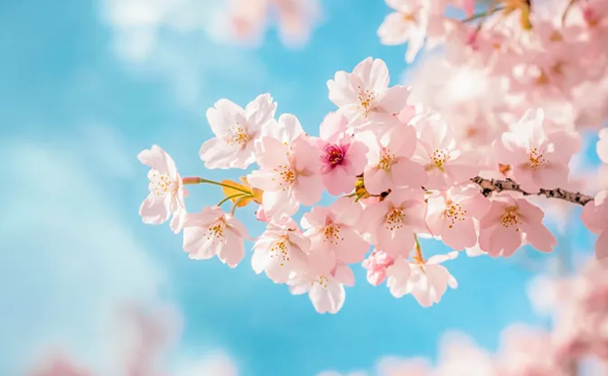 中考短文填空(形容词语法)篇1084期 第1张