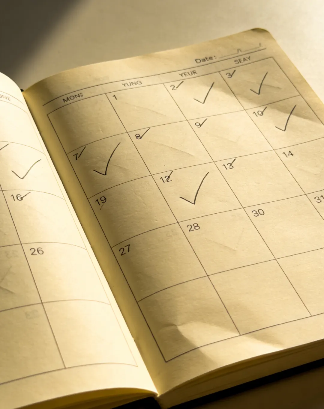 2026届上海奉贤初三一模数学试卷(答案版)讲学与练 第20张