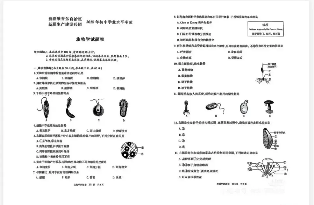 新疆中考2025:真题试卷 第12张