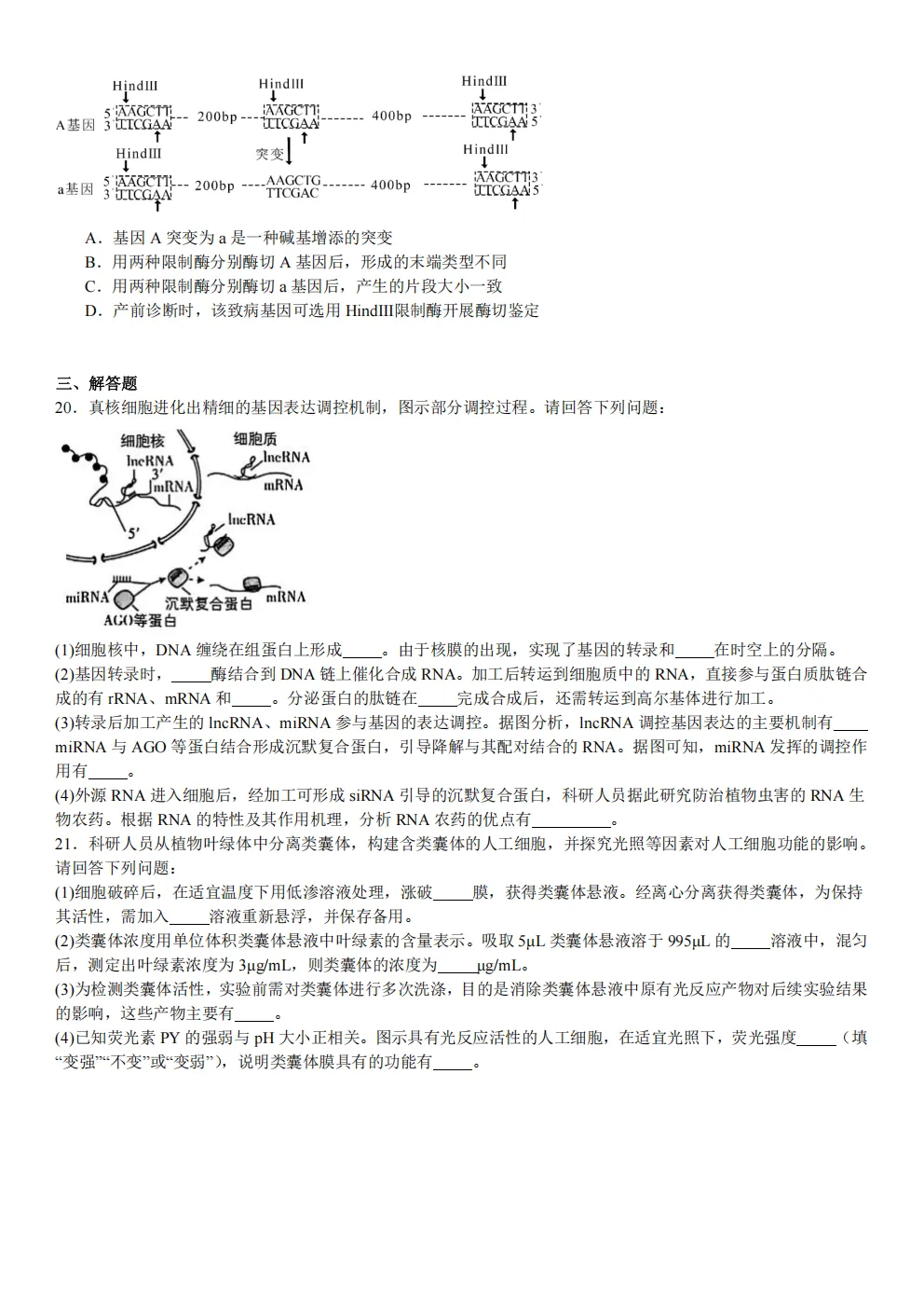 高考真题|2026年 江苏省卷生物高考真题|全国各省市高考|全国新高考试题及参考答案、全卷解析、评分标准、作文范文 PDF电子版可打印 第5张