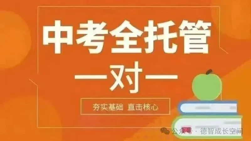 (全)2026年3月石家庄裕华区初三模拟考试试卷及答案 第2张