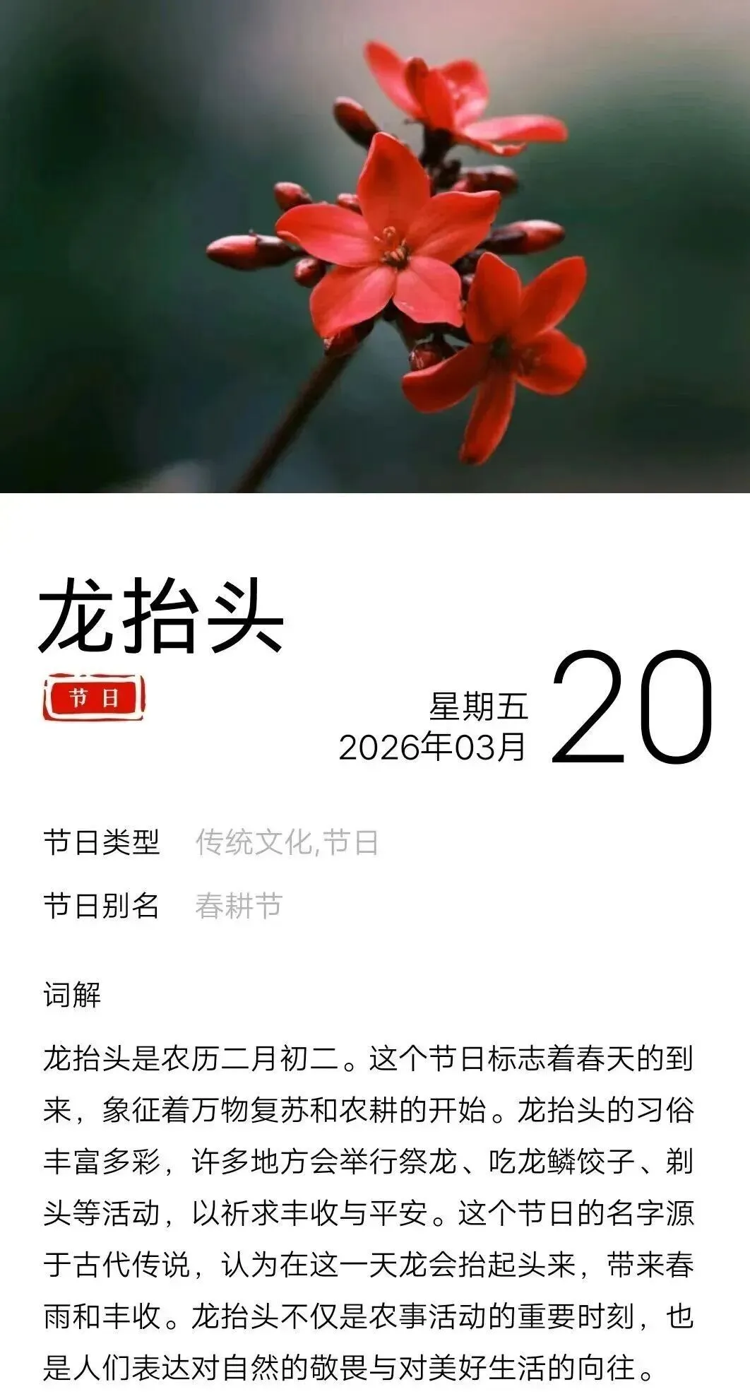 中考英语时文——二月二 龙抬头 第1张