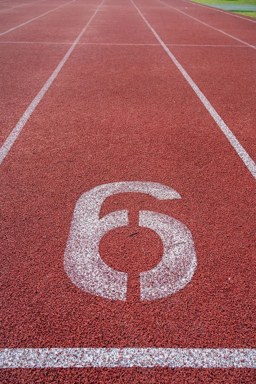 2026年上海体育中考+二模时间,及体育中考注意事项! 第8张